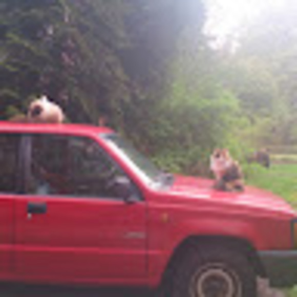 Meet your Posher, Elke - Picture 1 of 1